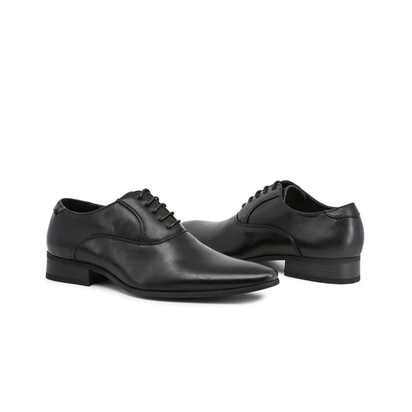 Duca di Morrone - JOSH