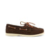brown-1