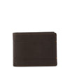 brown-1