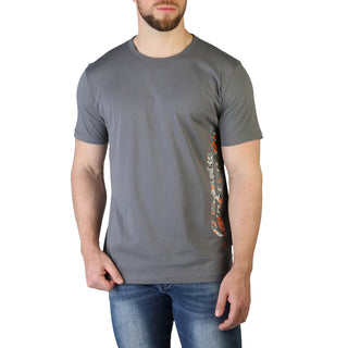 Kaufen grey Lamborghini - B3XVB7T0