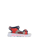 Bulls - BL838